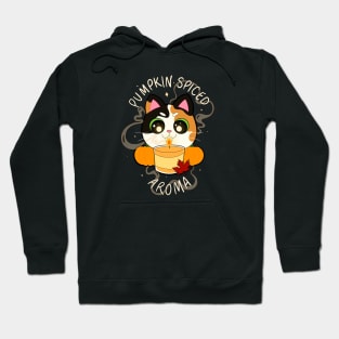 Pumpkin Spice Aroma (Calico) Hoodie